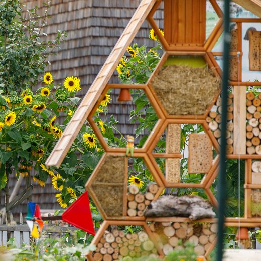 Biodiversitätsgarten mit Sonnenblumen und Insektenhotel