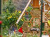 Biodiversitätsgarten und Insektenhotel Biodiversitätsgarten mit Sonnenblumen und Insektenhotel